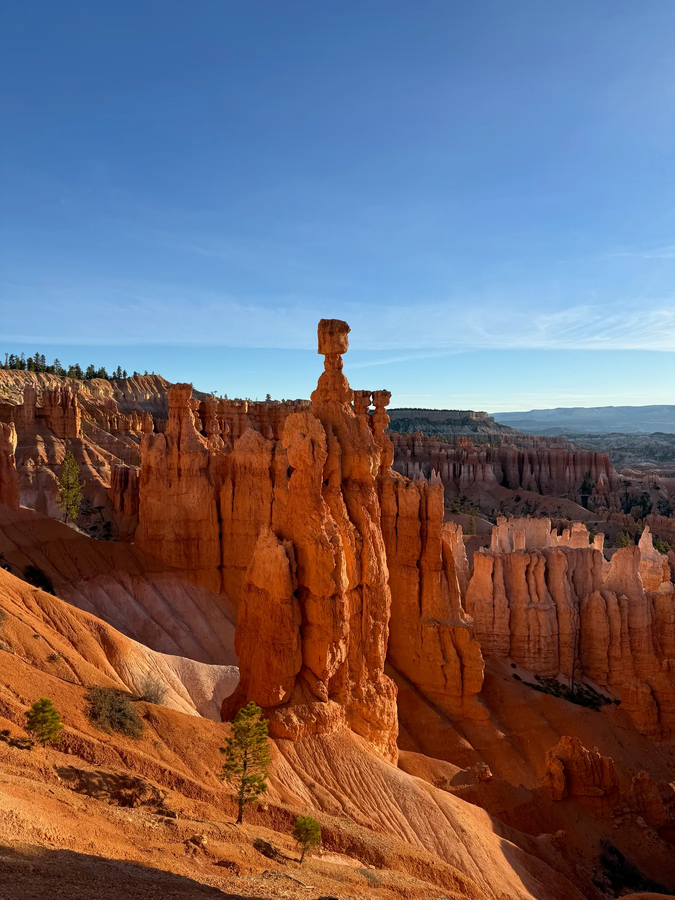Sunlit hoodoos beneath a blue sky in Bryce Canyon