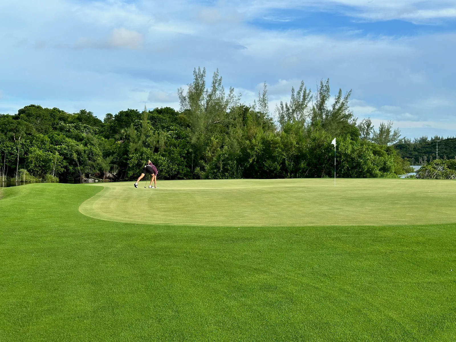 Golf green surrounded by trees in New Providence