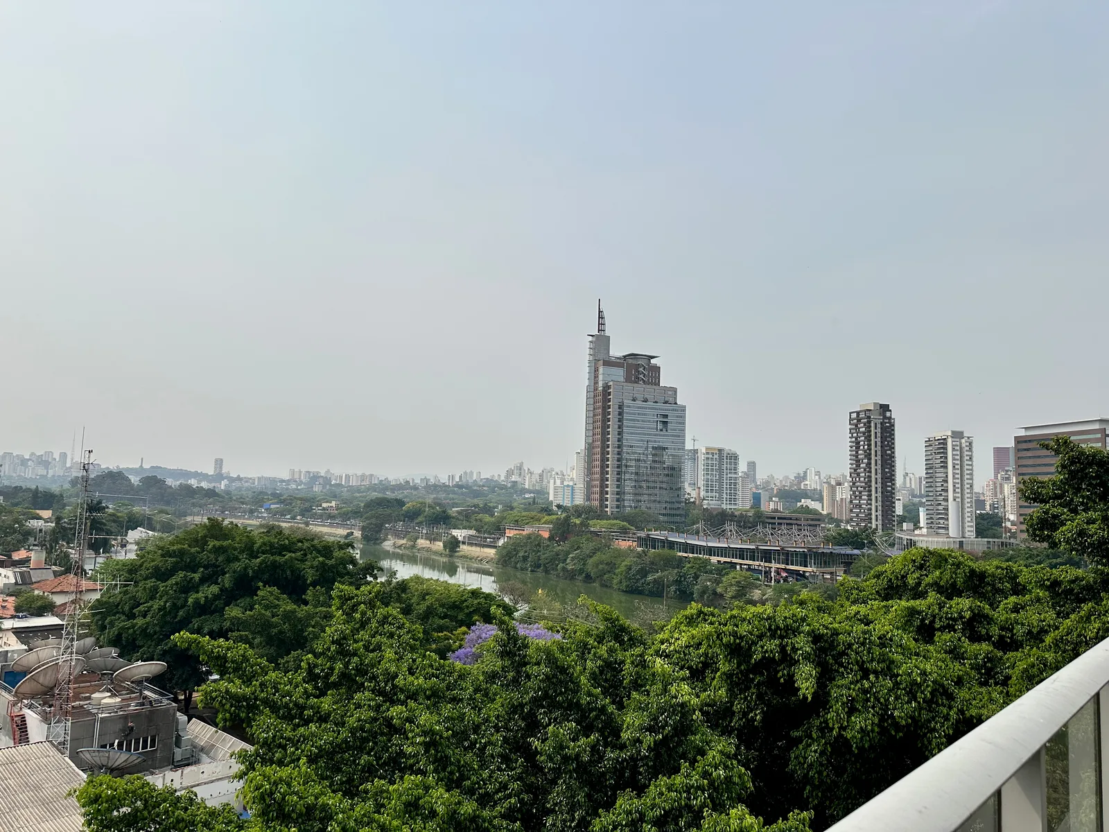 São Paulo river and skyline viewed above the trees
