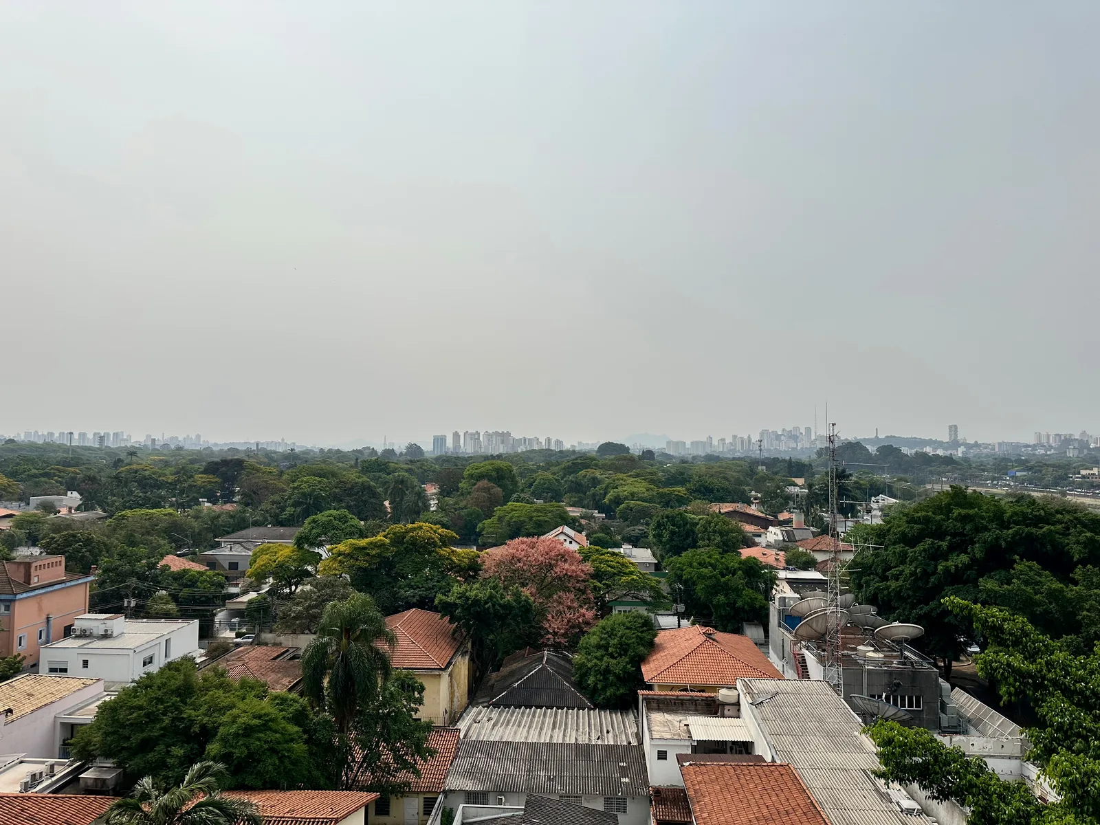 Tree-lined neighborhoods and distant skyline in São Paulo