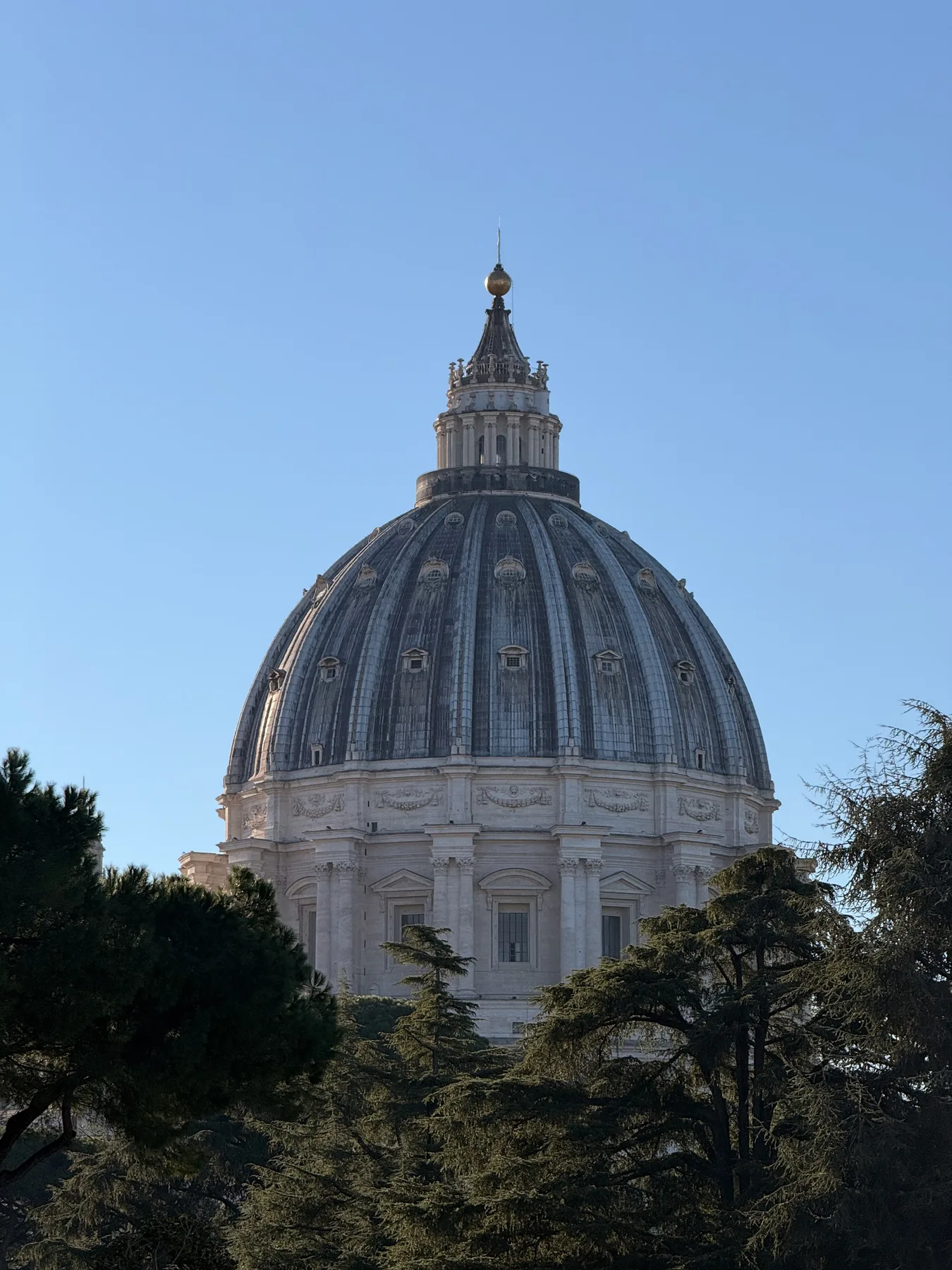 St. Peter’s dome rising above trees beneath a blue sky