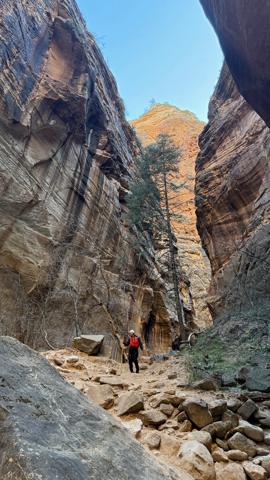 Lyla standing beneath towering canyon walls in Zion